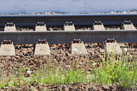 railway track at the railway station platform green grass between the tracks day summerの写真素材
