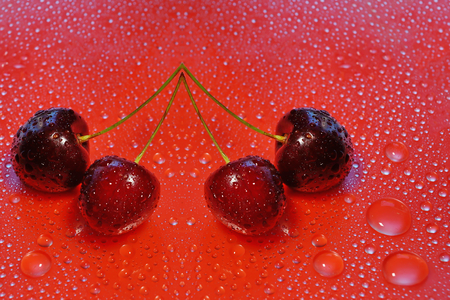 four cherries on a red water drop background. for designers, web design templates