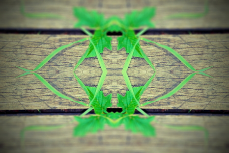 grass geometry figure reflection shapes symbol logo on wooden boards. ecology, health, green energy...