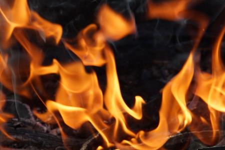 fire flame smoke embers to fry on the street close-upの写真素材