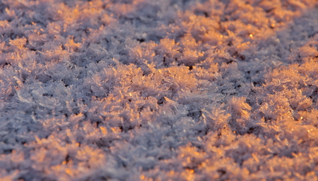 the surface of the white fresh snow winter background  close up for designの写真素材