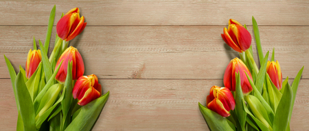 floral border copy space. red yellow tulips on wooden background. spring background. Beautiful spring card. Romantic card. Springtime blooming.の写真素材