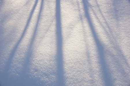 snow and shadows. texture background snow surface the snow. Snow on white background. Christmas background. Abstract ice texture. White background closeup.の写真素材