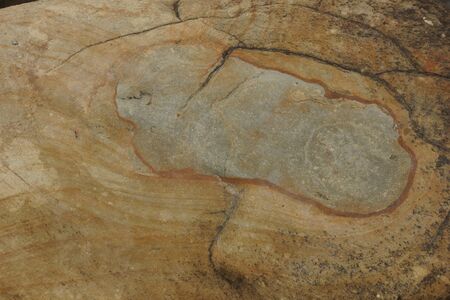 stone marine coastal texture background brown ochre reddish spots. Rock texture. Empty space.