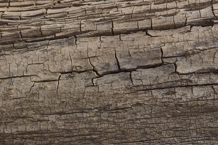 surface of old wood texture background closeup