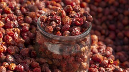 red rosehip berry background. rosehip on the counter of the grocery market close-upの写真素材