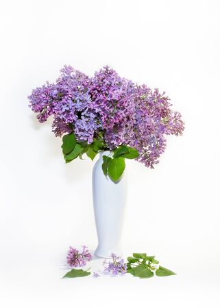 bouquet of blooming lilac in a white vase on a white background closeupの写真素材