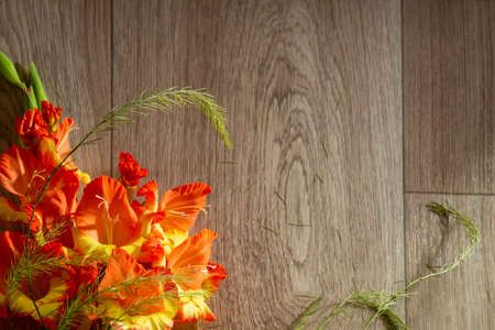 flatlay background for school. red orange gladioli fire color on a wooden background closeupの写真素材