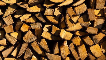 texture background logs firewood for 3d texturing or design. Abstract background. Design material.