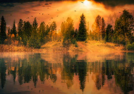 beautiful autumn dramatic landscape of late autumn the reflection of trees in the water the rays of...