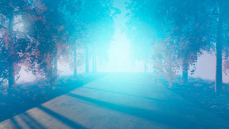 autumn fog road in the park, breath of autumn damp fog early dawn, 3d renderの写真素材