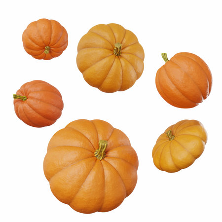 set of six pumpkins of different sizes and shapes for halloween isolated white background. Collection for celebration design. party decor. autumn decoration. white design. space background.の写真素材