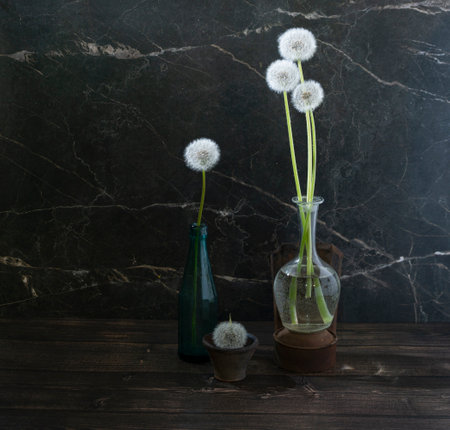white dandelions in a glass vase, bottle and clay cup, the concept of education - white heads of wisdom and the desire to share the seed of knowledgeの写真素材