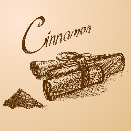 Vector illustration. Cinnamonのイラスト素材