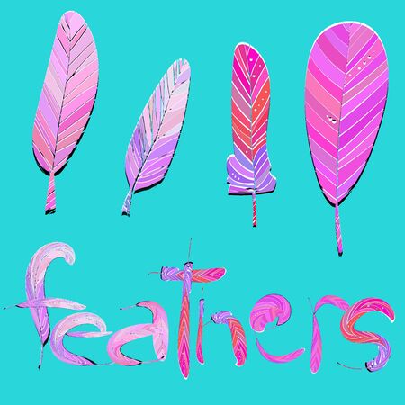 Set of feather brushes for designのイラスト素材