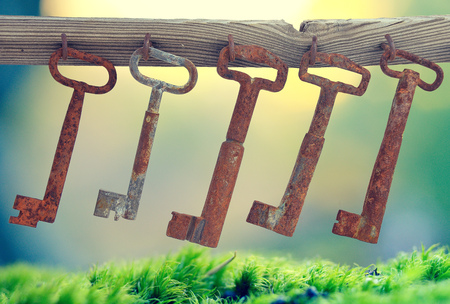 Rusty keys hanging on a wooden stick, blurred background with green grass.