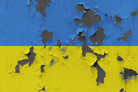 Close up grungy, damaged and weathered Ukraine flag on wall peeling off paint to see inside surface.の写真素材