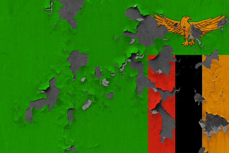 Close up grungy, damaged and weathered Zambia flag on wall peeling off paint to see inside surface.の写真素材