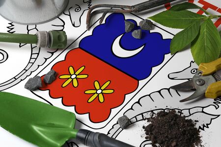 Mayotte flag with gardening tools background on table. Spring in the garden concept with free copy space.の写真素材