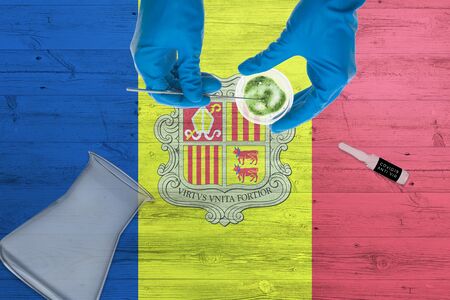 Andorra flag on laboratory table. Medical healthcare technologist holding COVID-19 swab collection kit, wearing blue protective gloves, epidemic concept.の写真素材