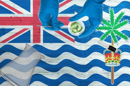 British Indian Ocean Territory flag on laboratory table. Medical healthcare technologist holding COVID-19 swab collection kit, wearing blue protective gloves, epidemic concept.の写真素材