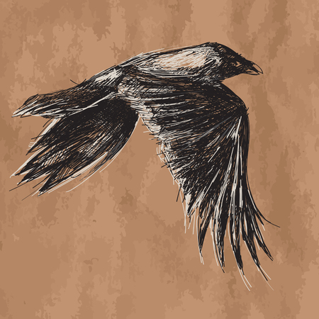 artistic vector drawing of flying african crow on craftのイラスト素材