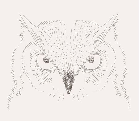 hand drawn vector sketch decorative owl illustrationのイラスト素材