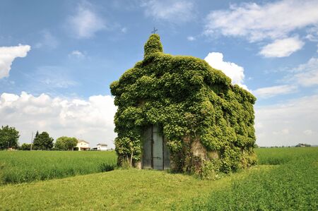 An old ivy-covered church in countryside in a summer day against a blue sky with some clouds - Concept of nature recovering its spaces - Countryside landscapes - Eco-sustainable tourism and wanderlustの写真素材