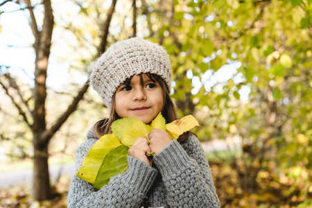 Cute little girl holding yellow maple leaves in her hands while walking in the autumn sunny park - Portrait of little girl standing at park or forest during foliage time - Childhood and nature walksの写真素材