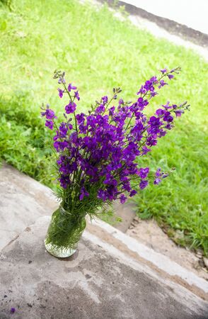 Purple flower in jarの写真素材