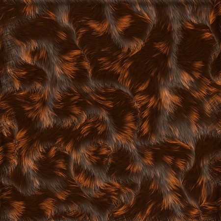 Close up fur texture to backgroundの写真素材