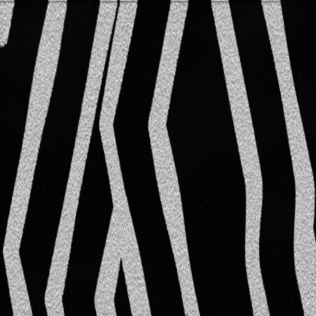 zebra textureの写真素材