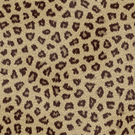 abstract leopard hair texture backgroundの写真素材