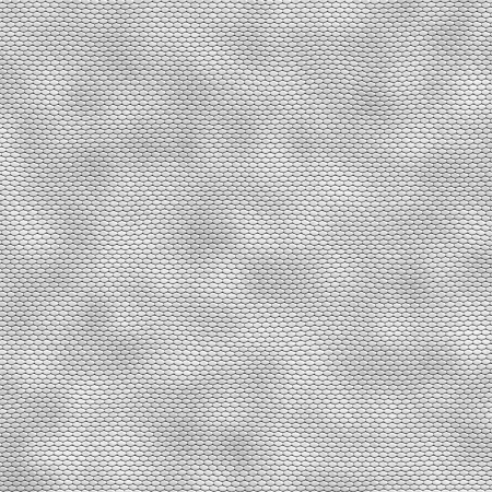 white leather background snakeの写真素材