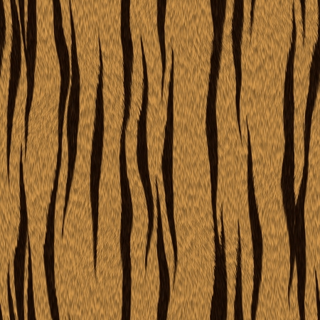 texture of real tiger skin   fur  の写真素材