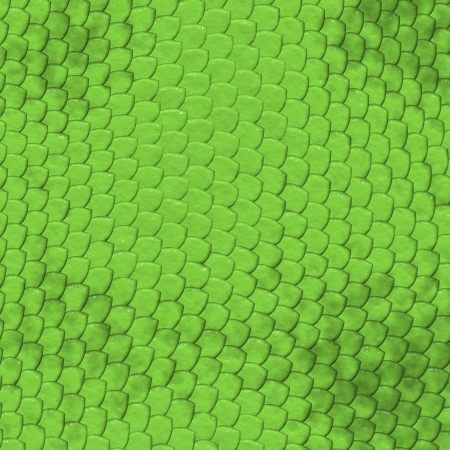 Iguana lizard skin patternの写真素材