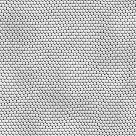 seamless white snakeskin texture