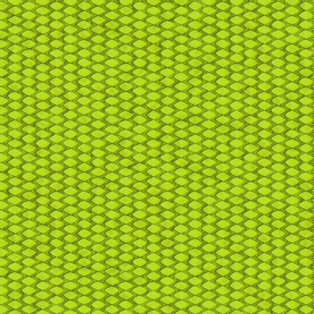 abstract green harlequin argyle seamless patternの写真素材
