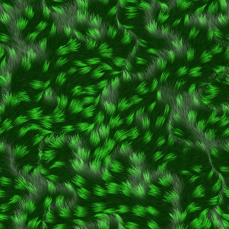 green coat, fur texture to backgroundの写真素材