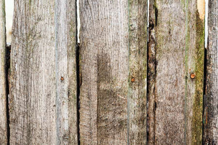 old, grunge wood panels used as backgroundの写真素材