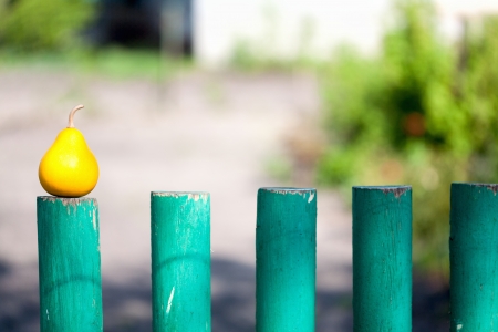 pear on a green wooden fenceの写真素材