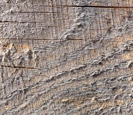 A background of woodの写真素材