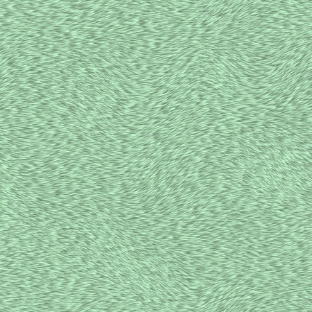 short green fur textureの写真素材