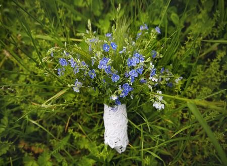blue bouquet lies on the green grass.の写真素材