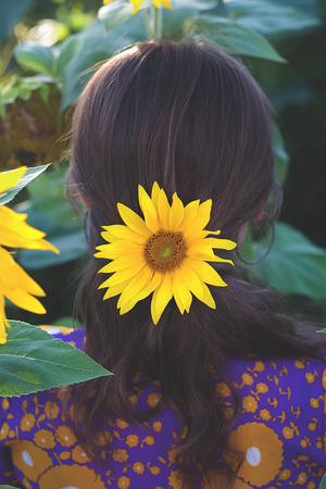 Young woman with sunflower in her hands. Back view.の写真素材