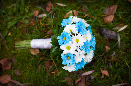 white and blue flowers. wedding bouquet lying on green grass.の写真素材