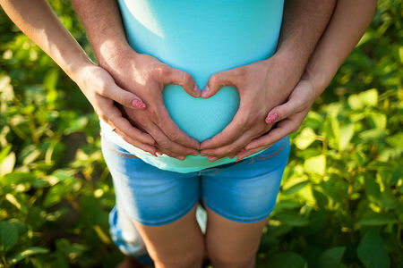 Mans hands embrace a belly of the pregnant woman.の写真素材