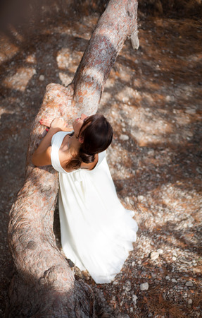Beautiful young woman in white dress stands leaning on a tree trunk. Top viewの写真素材