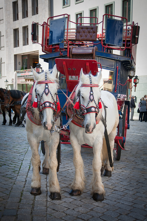 Urban life of Dresden. Tourists carriage. Horseのeditorial素材