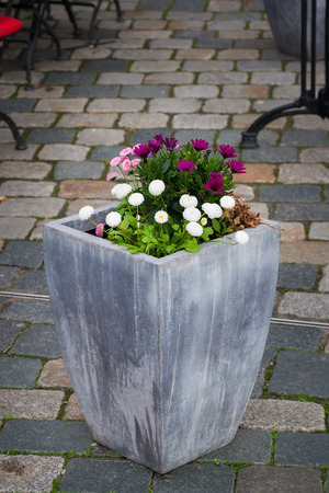 Large pot with plants. Outdoor concrete vase as a flowerbed and street decoration with some flowers.の写真素材